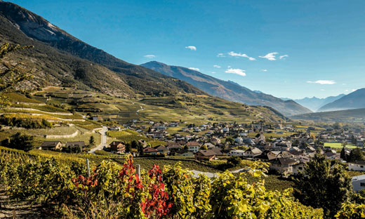 MATHIERS WINE FESTIVALS