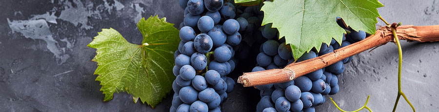Cabernet Sauvignon
