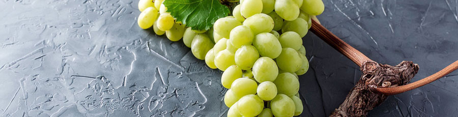 Chardonnay