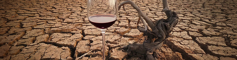 Trockener Wein