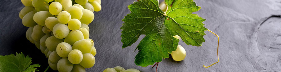 Viognier