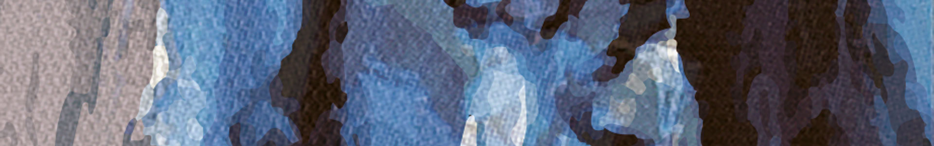 product hero image